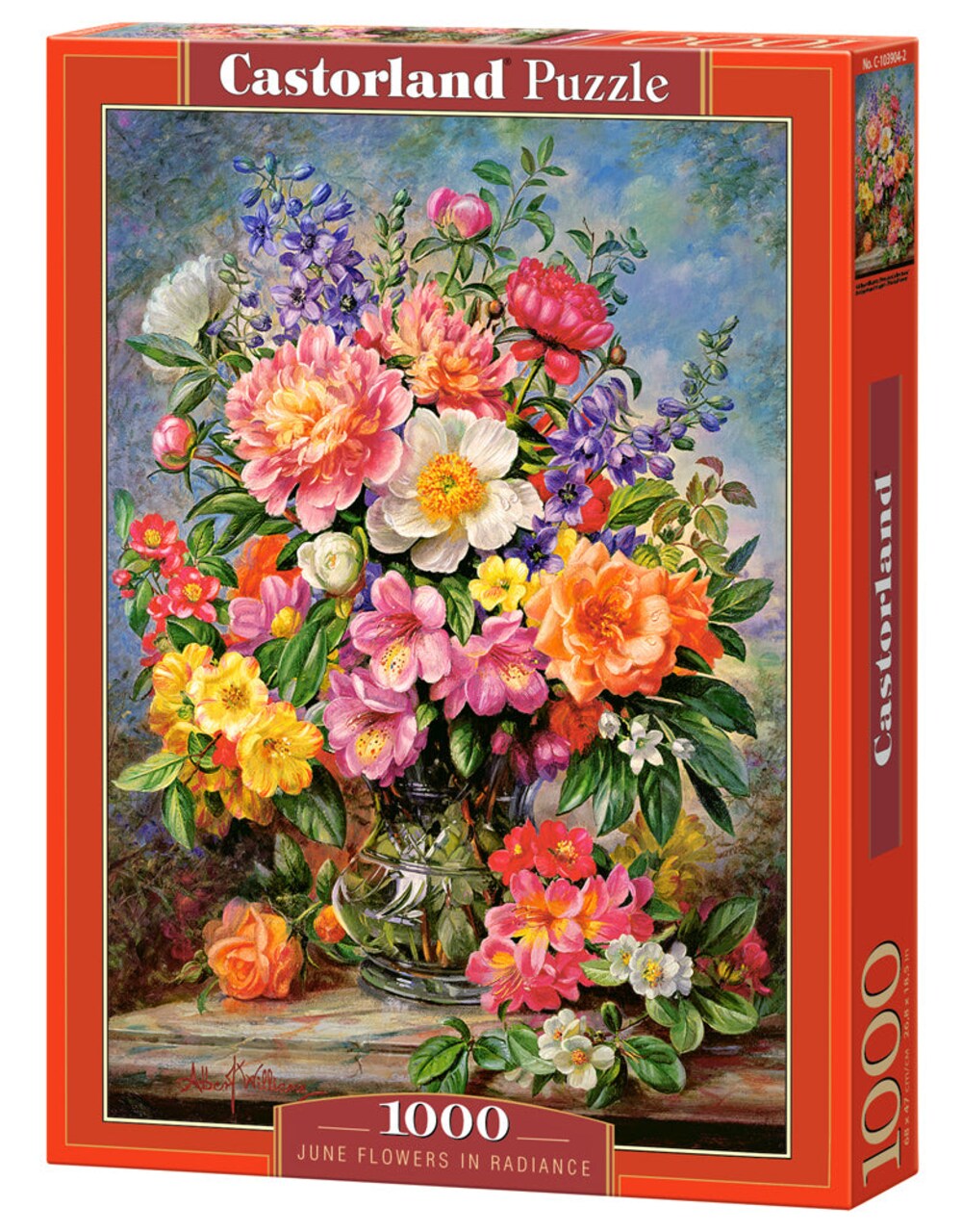 Castorland puzzle 1000 deals